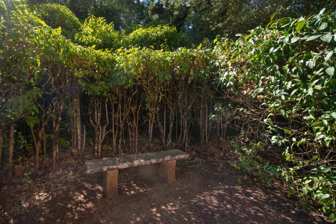 Quinta T11 para Venda em Ota Foto 42