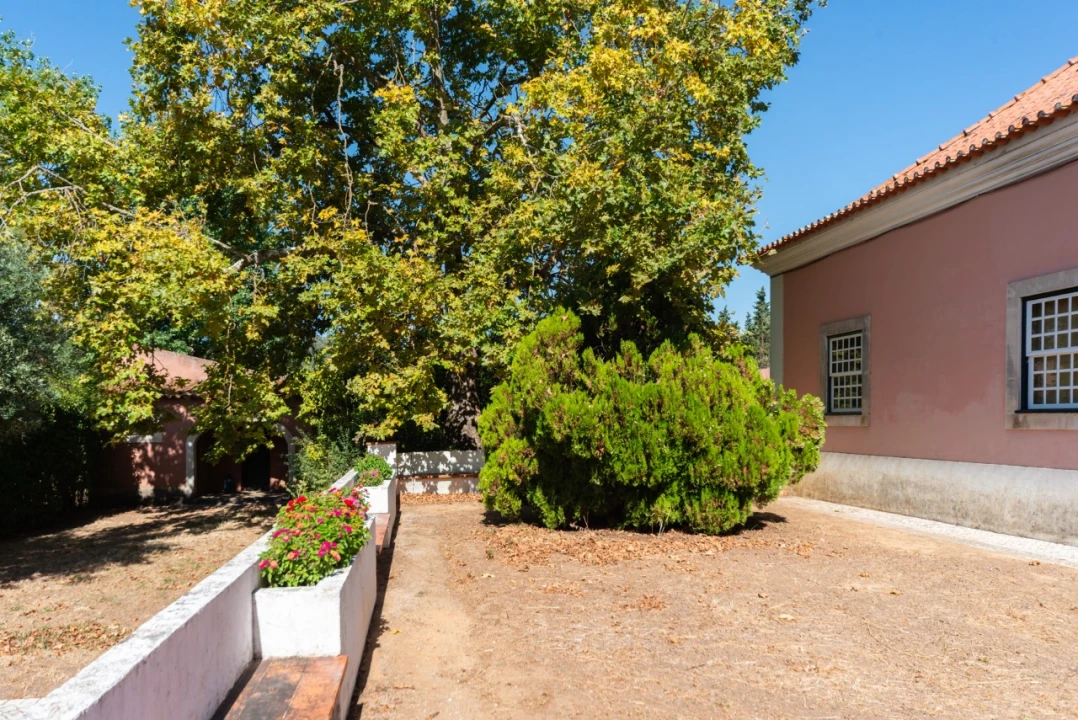 Quinta T11 para Venda em Ota Foto 6