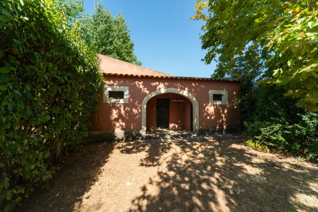 Quinta T11 para Venda em Ota Foto 8