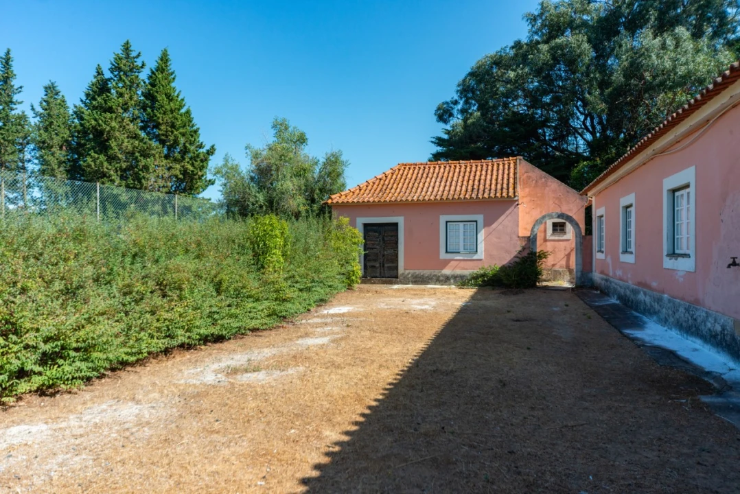 Quinta T11 para Venda em Ota Foto 10