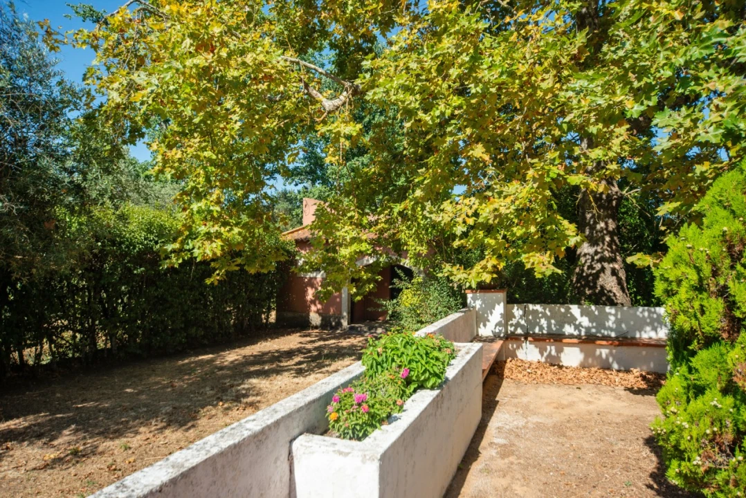 Quinta T11 para Venda em Ota Foto 9