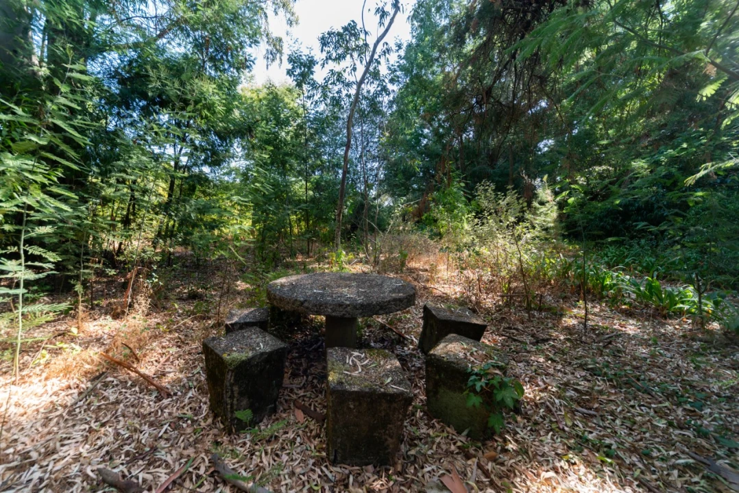 Quinta T11 para Venda em Ota Foto 43