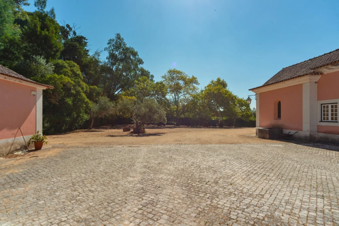 Quinta T11 para Venda em Ota Foto 11