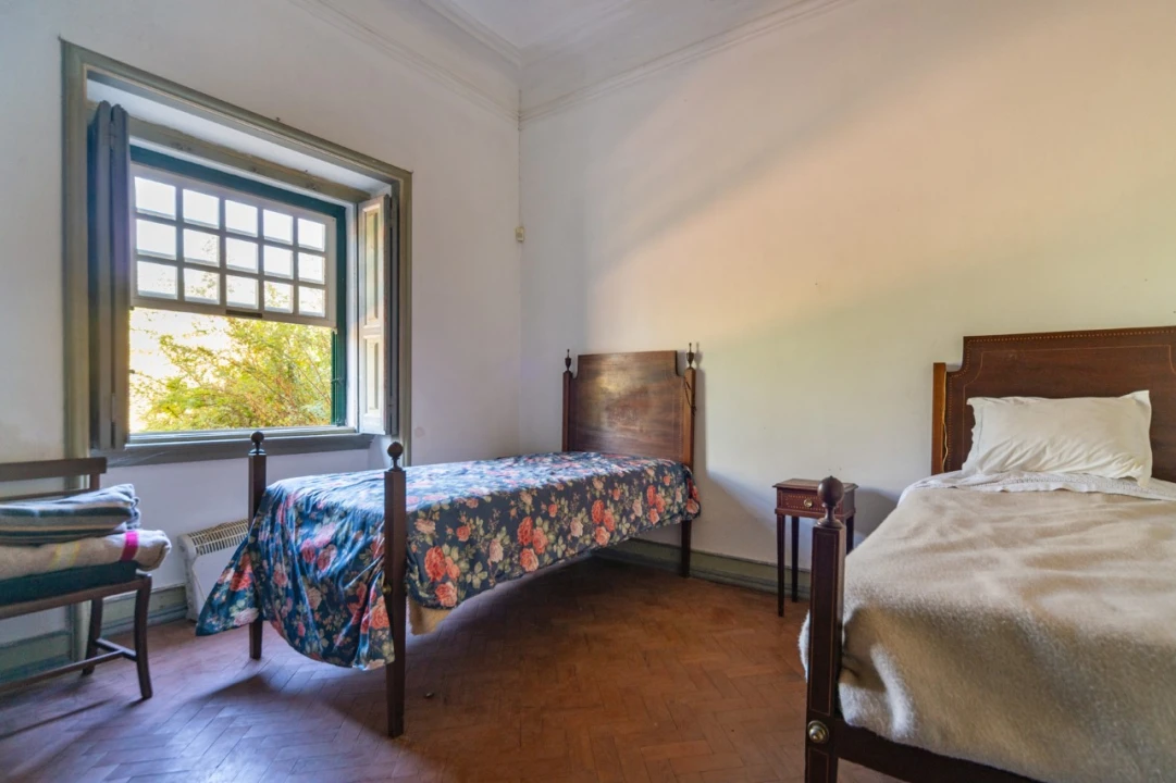 Quinta T11 para Venda em Ota Foto 30