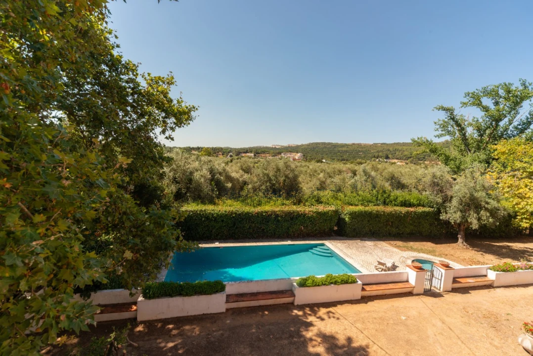 Quinta T11 para Venda em Ota Foto 40