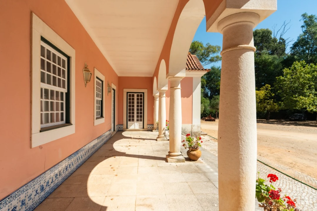 Quinta T11 para Venda em Ota Foto 14