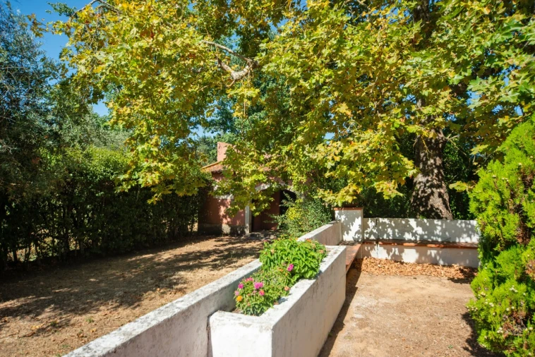 Quinta T11 para Venda em Ota Foto 9