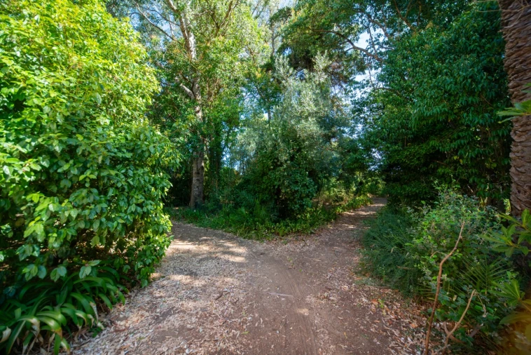 Quinta T11 para Venda em Ota Foto 44