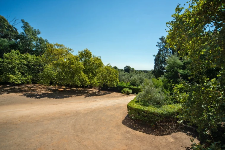 Quinta T11 para Venda em Ota Foto 41