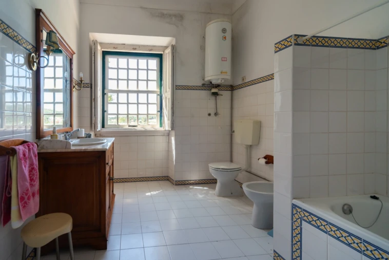 Quinta T11 para Venda em Ota Foto 39