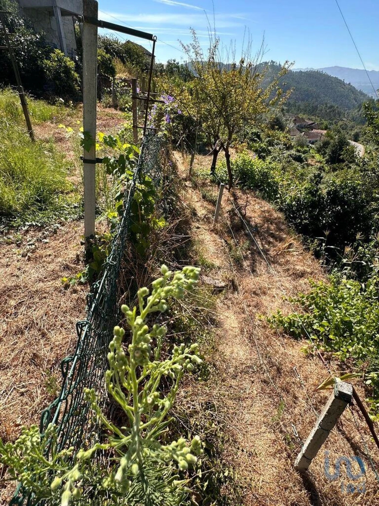 Moradia T4 para Venda em Santa Cruz da Trapa e São Cristóvão de Lafões Foto 9