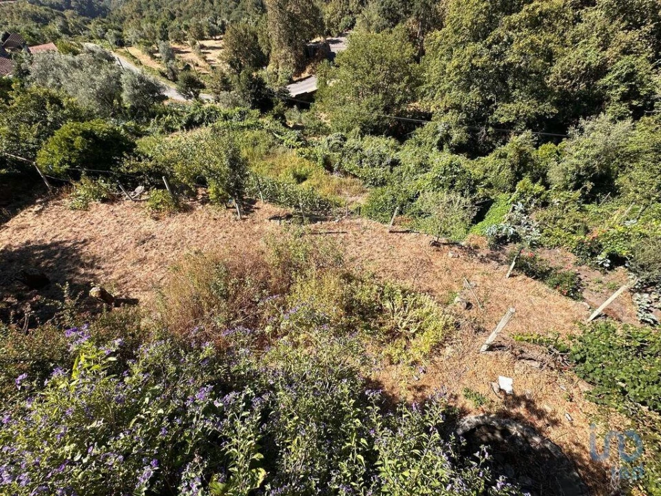 Moradia T4 para Venda em Santa Cruz da Trapa e São Cristóvão de Lafões Foto 6