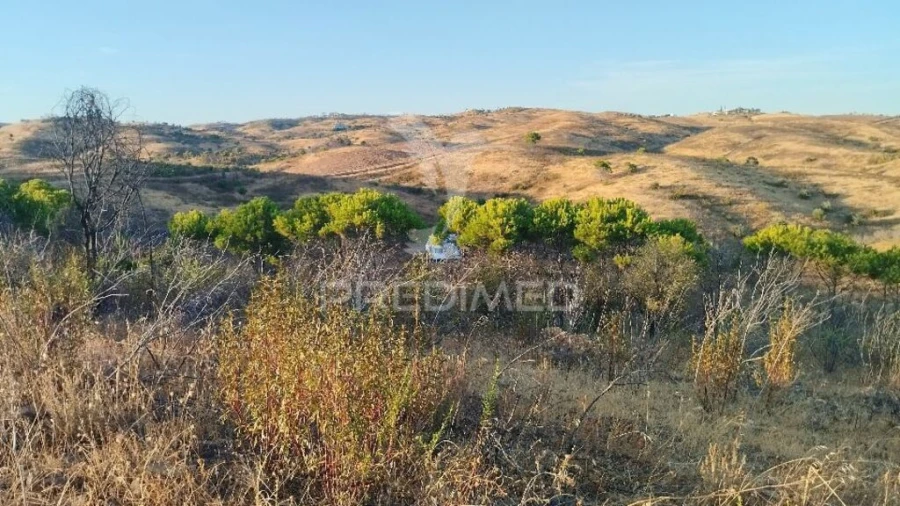 Terreno para Venda em Conceição e Cabanas de Tavira Foto 17