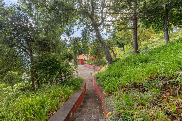 Quinta T8 para Venda em São Roque Foto 9