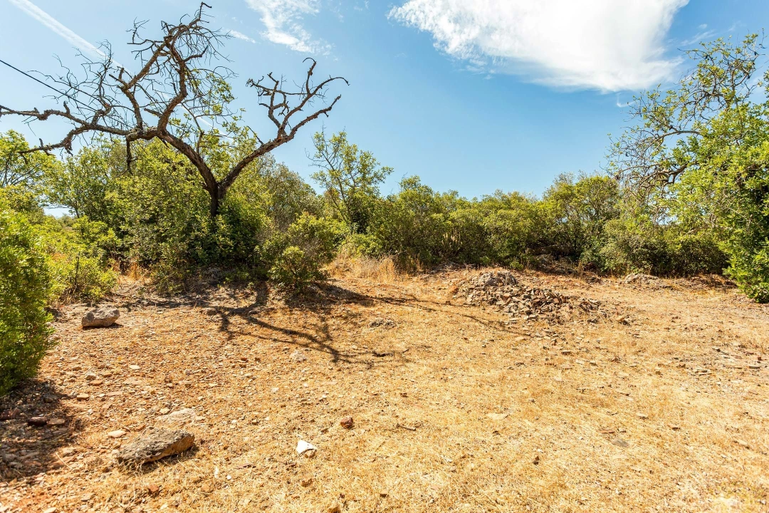 Terreno para Venda em Conceição e Cabanas de Tavira Foto 16