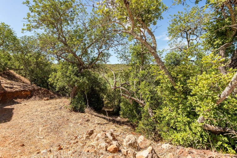 Terreno para Venda em Conceição e Cabanas de Tavira Foto 12