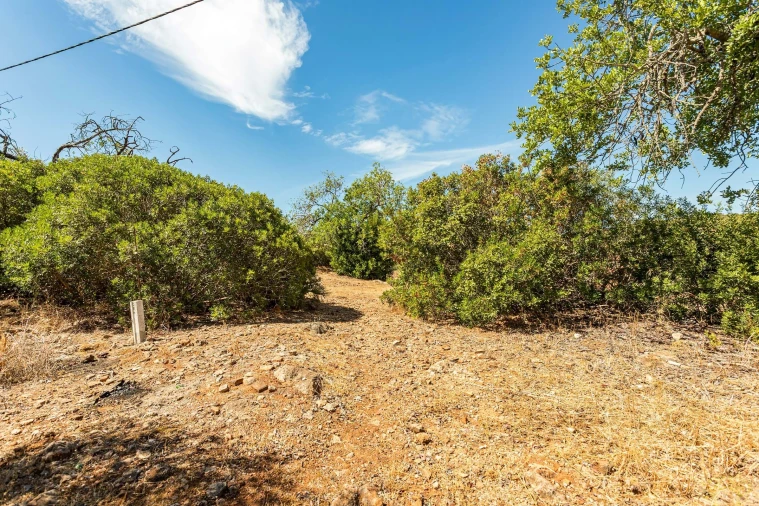 Terreno para Venda em Conceição e Cabanas de Tavira Foto 15