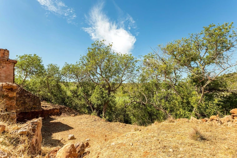 Terreno para Venda em Conceição e Cabanas de Tavira Foto 11