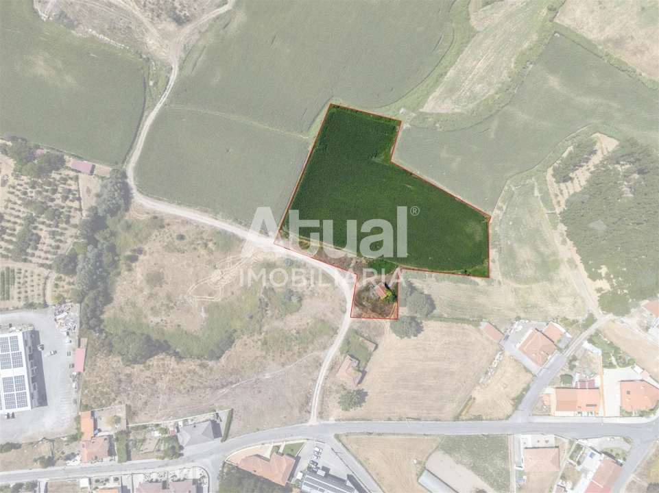 Terreno Misto para Venda em Sanfins Lamoso Codessos Foto 16