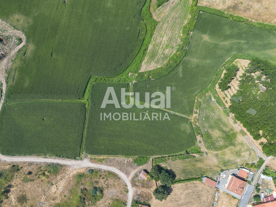 Terreno Misto para Venda em Sanfins Lamoso Codessos Foto 6