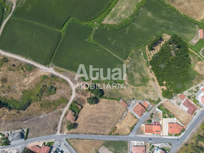 Terreno Misto para Venda em Sanfins Lamoso Codessos Foto 5