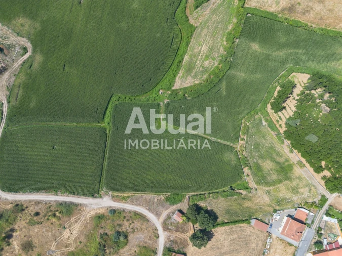 Terreno Misto para Venda em Sanfins Lamoso Codessos Foto 6