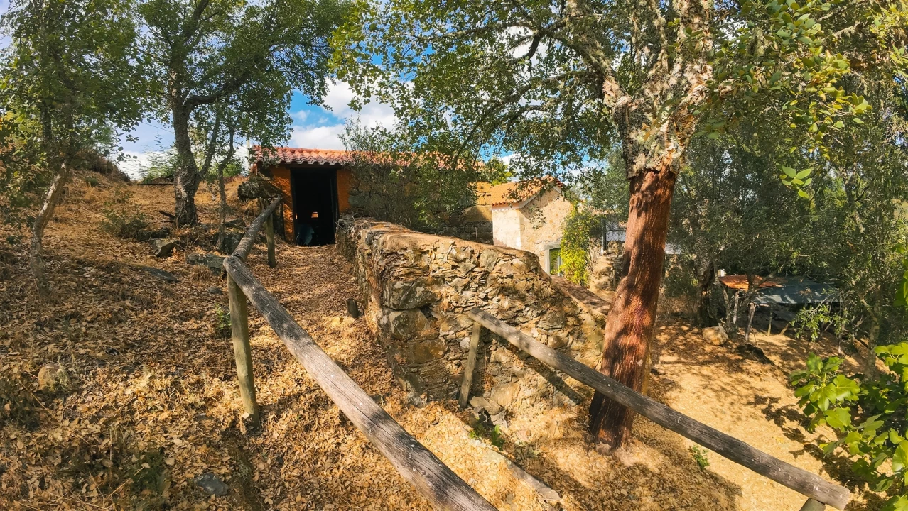 Moradia T1 para Arrendamento em Oleiros-Amieira Foto 10