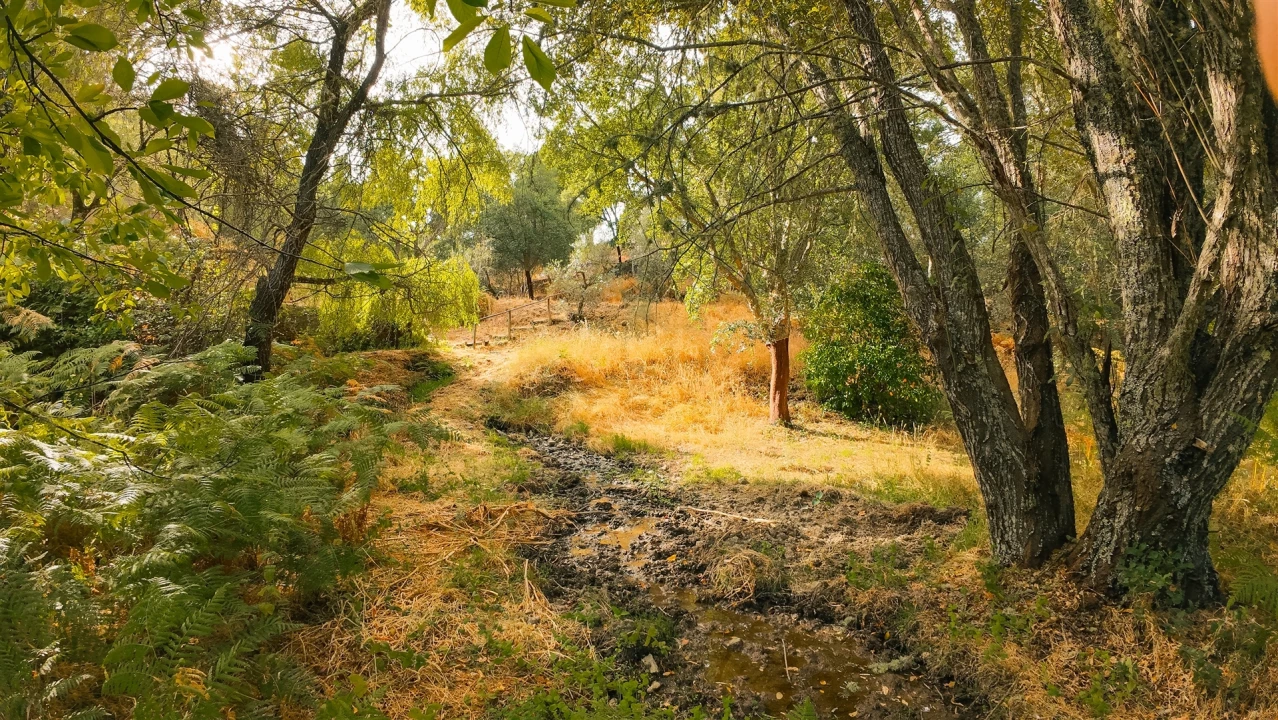 Moradia T1 para Arrendamento em Oleiros-Amieira Foto 25