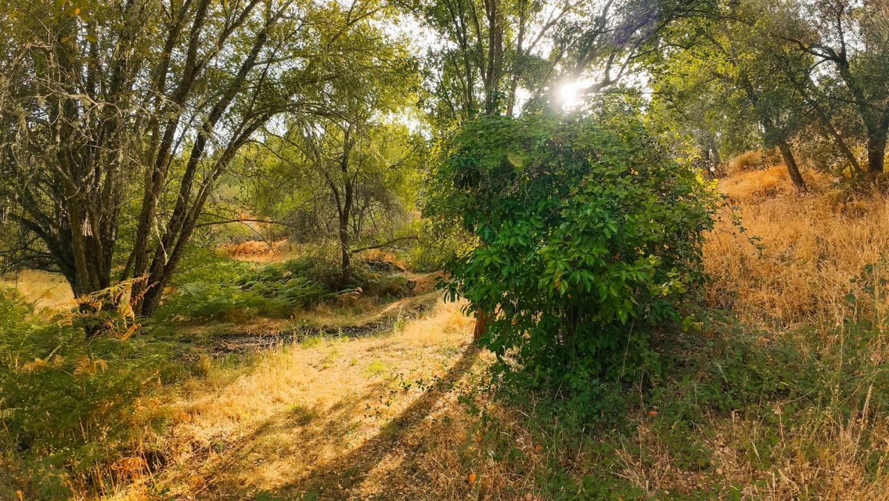 Moradia T1 para Arrendamento em Oleiros-Amieira Foto 28