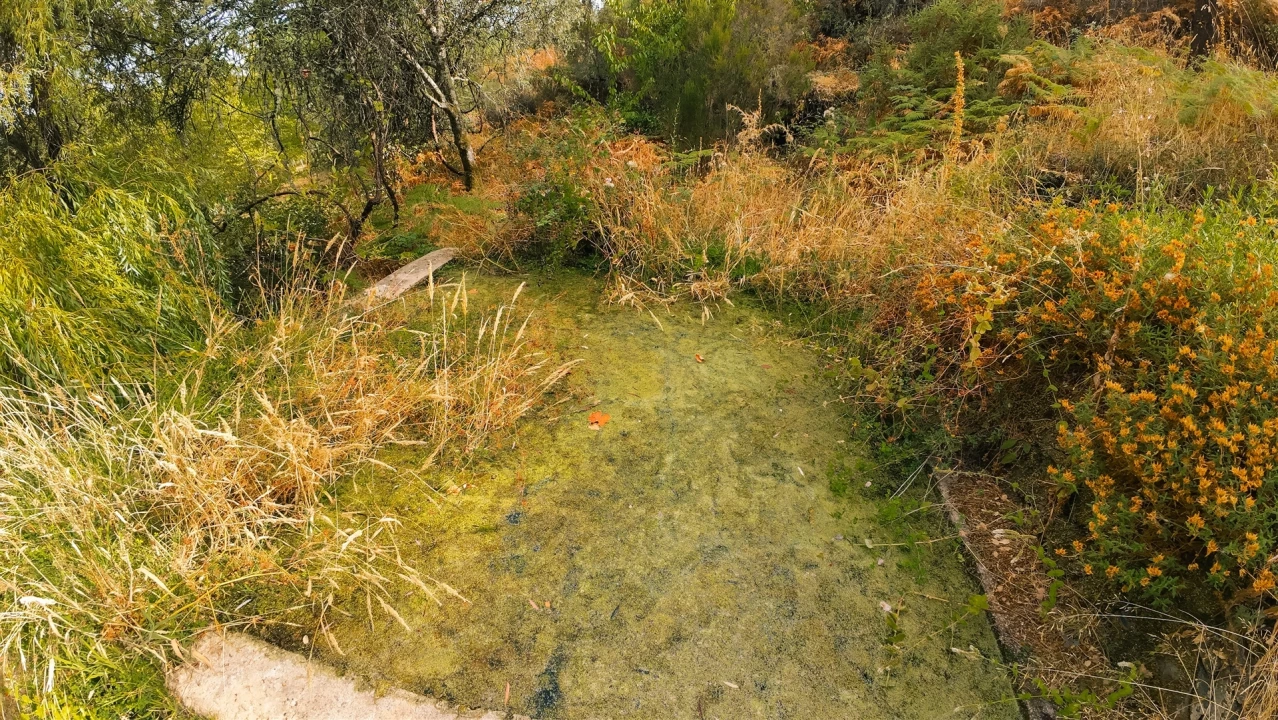 Moradia T1 para Arrendamento em Oleiros-Amieira Foto 29