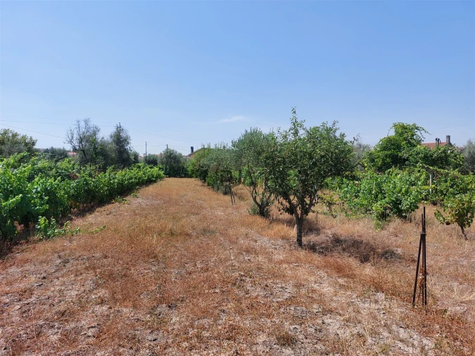 Moradia T5 para Venda em Mangualde, Mesquitela e Cunha Alta Foto 33