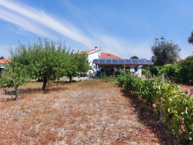 Moradia T5 para Venda em Mangualde, Mesquitela e Cunha Alta Foto 32