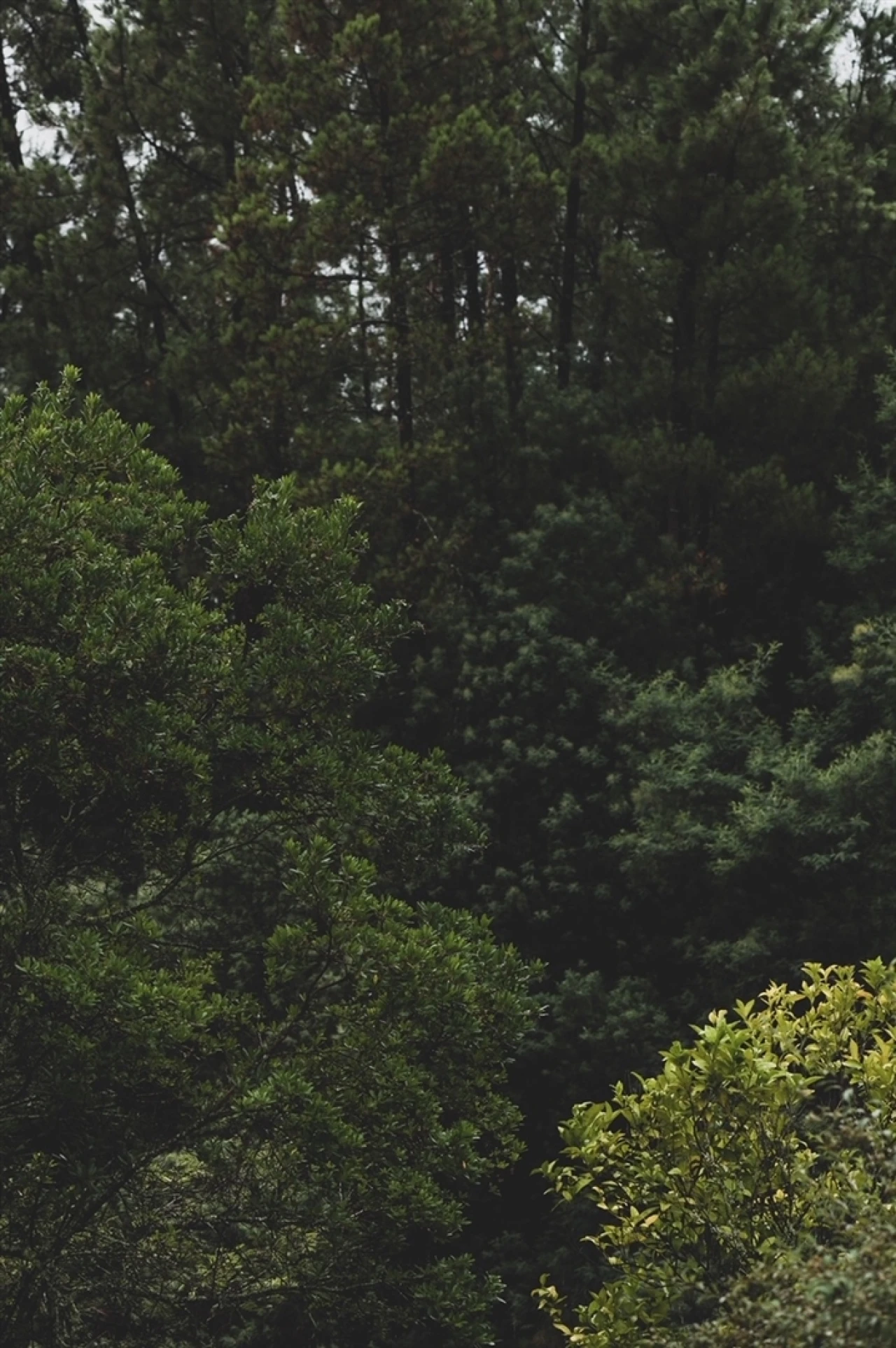 Moradia T4 para Venda em Vilar da Veiga Foto 12