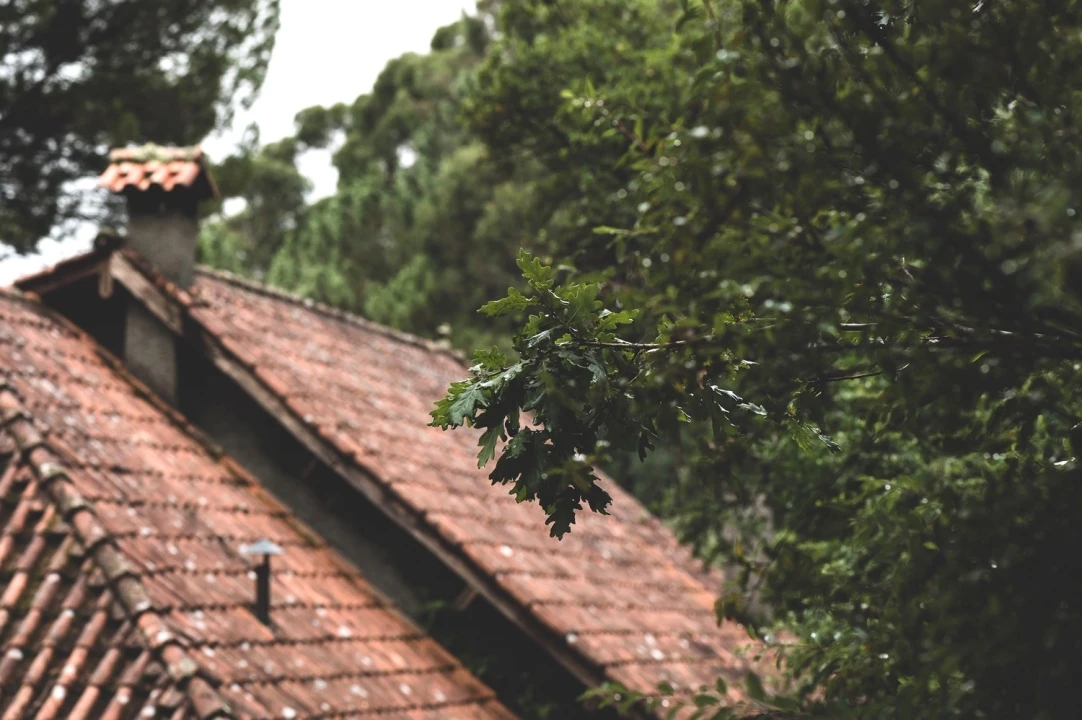 Moradia T4 para Venda em Vilar da Veiga Foto 11