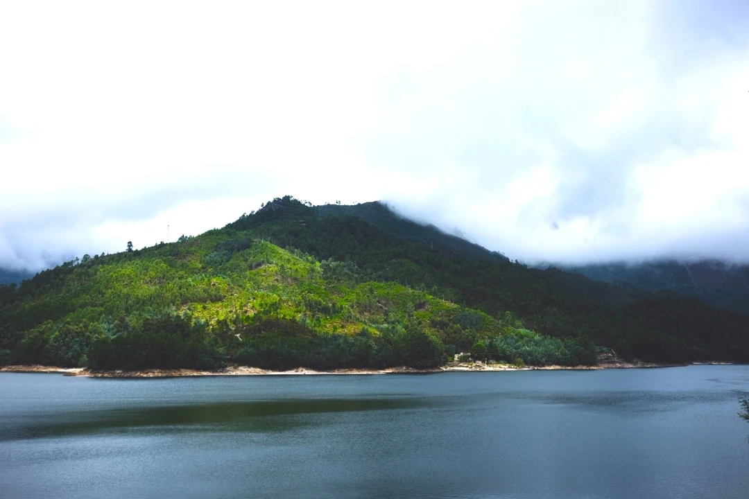 Moradia T4 para Venda em Vilar da Veiga Foto 14