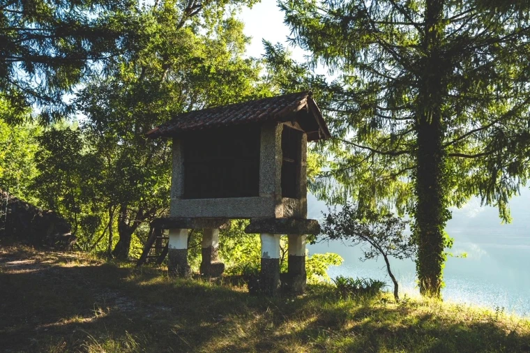 Moradia T4 para Venda em Vilar da Veiga Foto 3