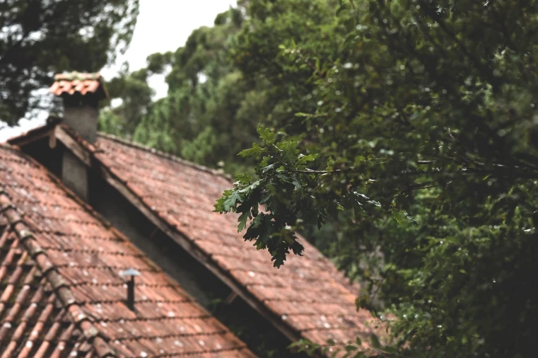 Moradia T4 para Venda em Vilar da Veiga Foto 7