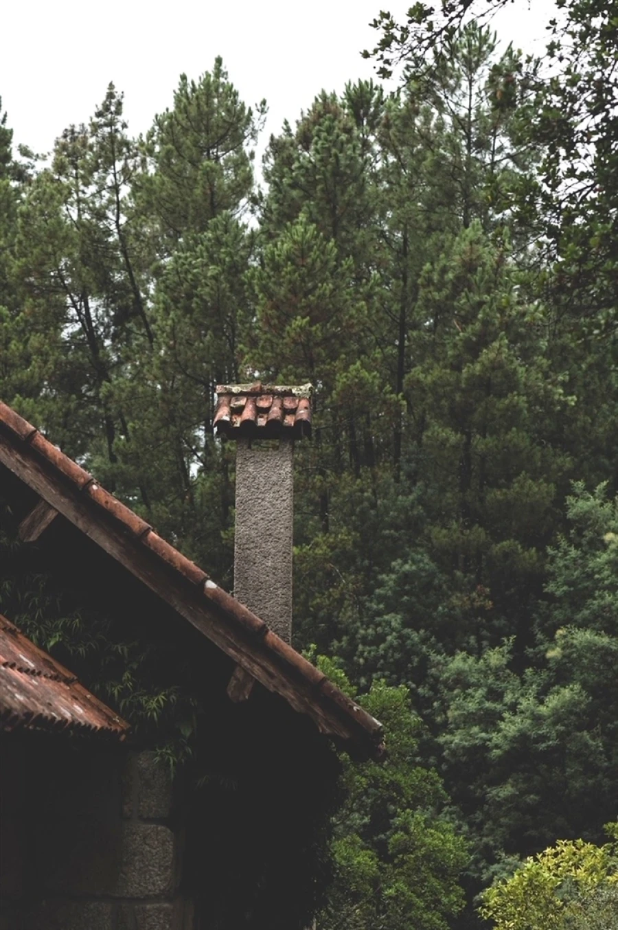 Moradia T4 para Venda em Vilar da Veiga Foto 6