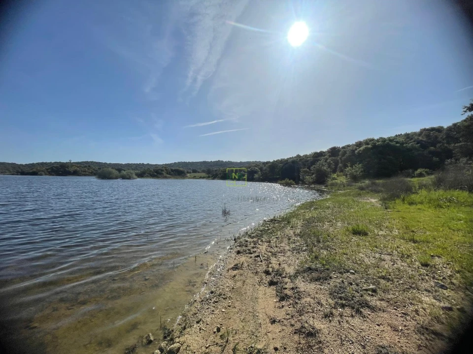 Terreno para Venda em Idanha-A-Nova e Alcafozes Foto 23