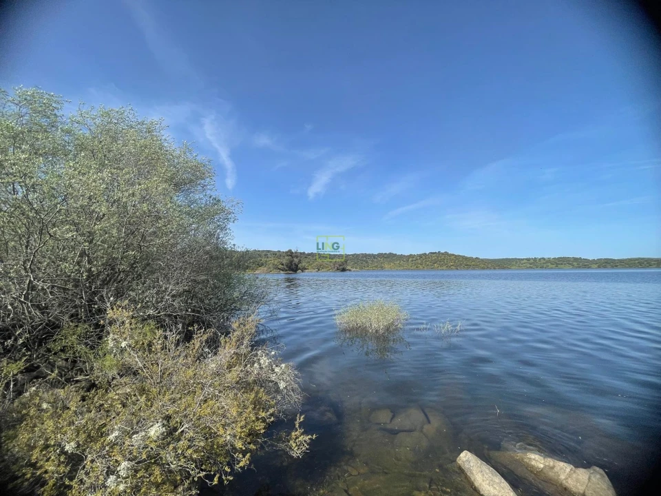 Terreno para Venda em Idanha-A-Nova e Alcafozes Foto 27