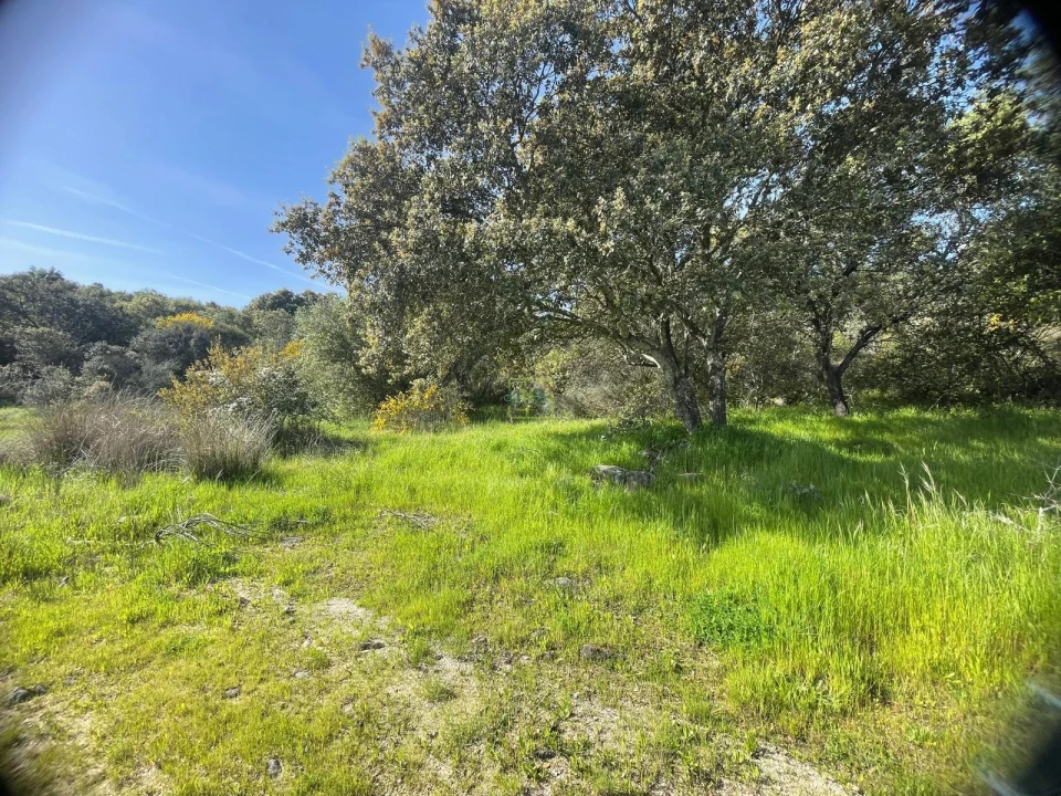 Terreno para Venda em Idanha-A-Nova e Alcafozes Foto 28