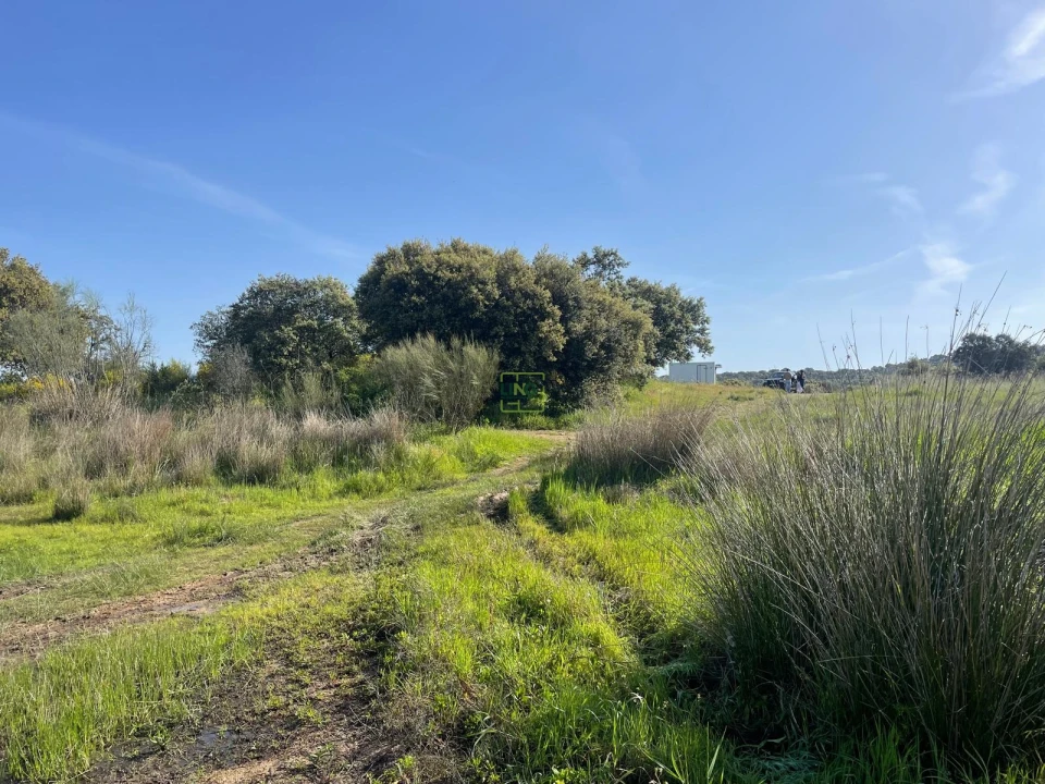 Terreno para Venda em Idanha-A-Nova e Alcafozes Foto 39