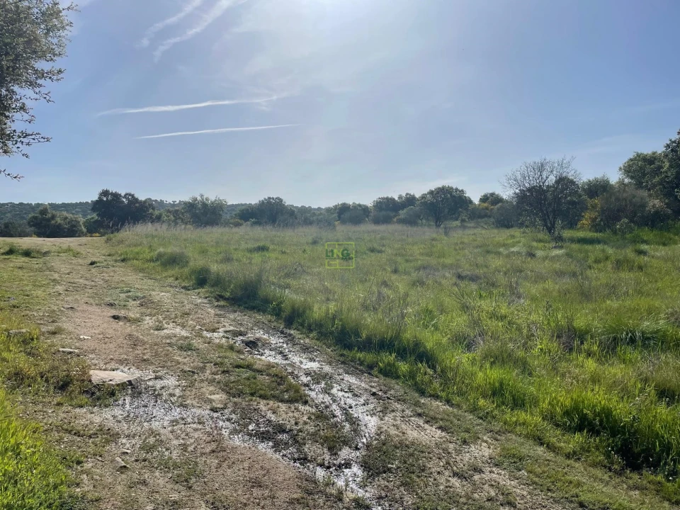 Terreno para Venda em Idanha-A-Nova e Alcafozes Foto 44