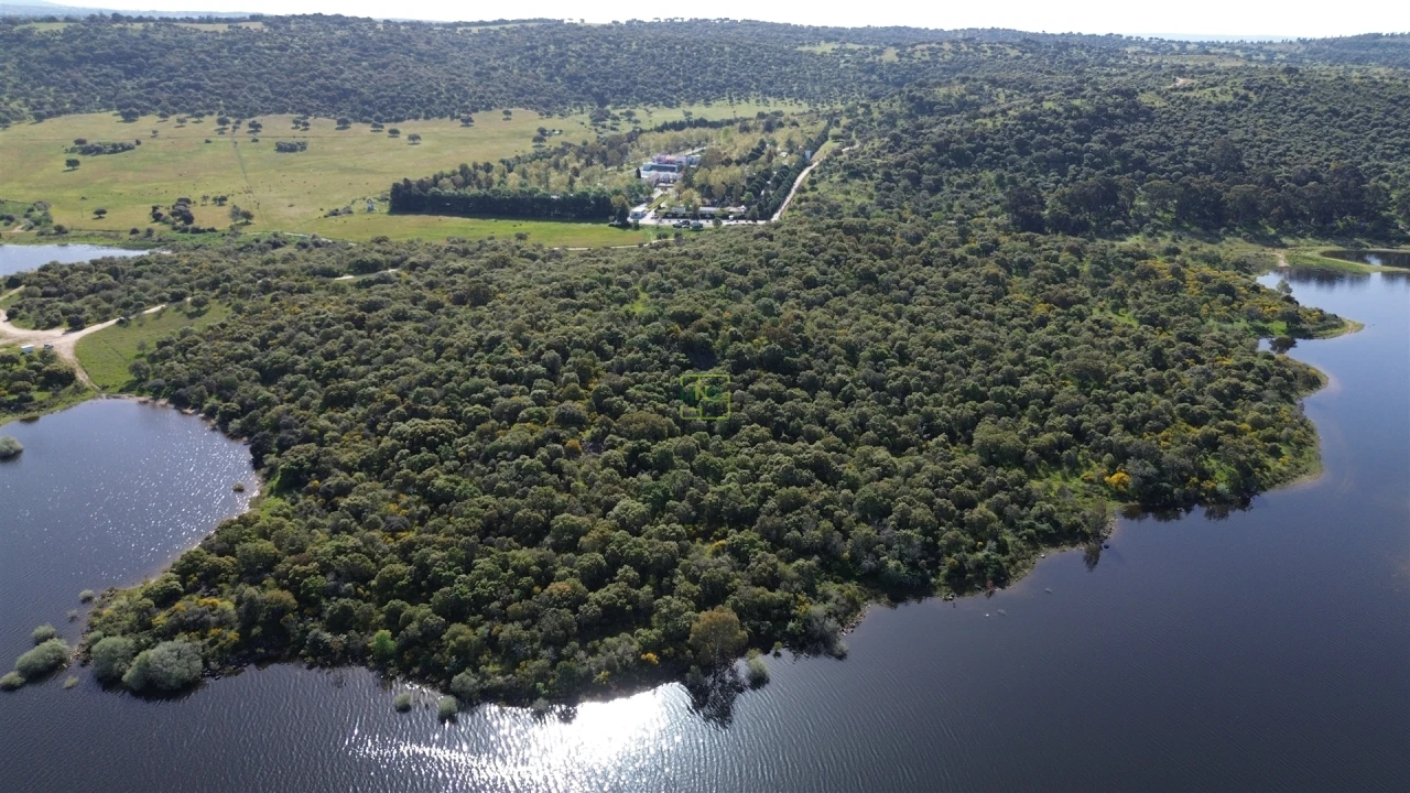 Terreno para Venda em Idanha-A-Nova e Alcafozes Foto 12