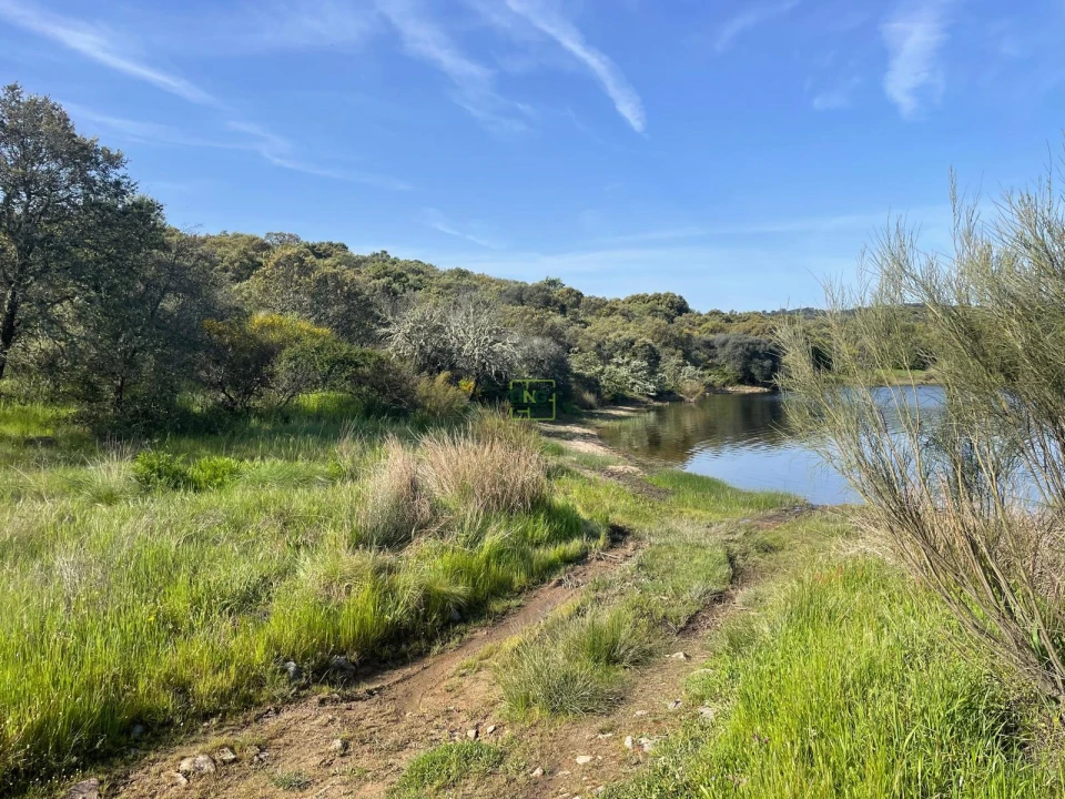 Terreno para Venda em Idanha-A-Nova e Alcafozes Foto 46