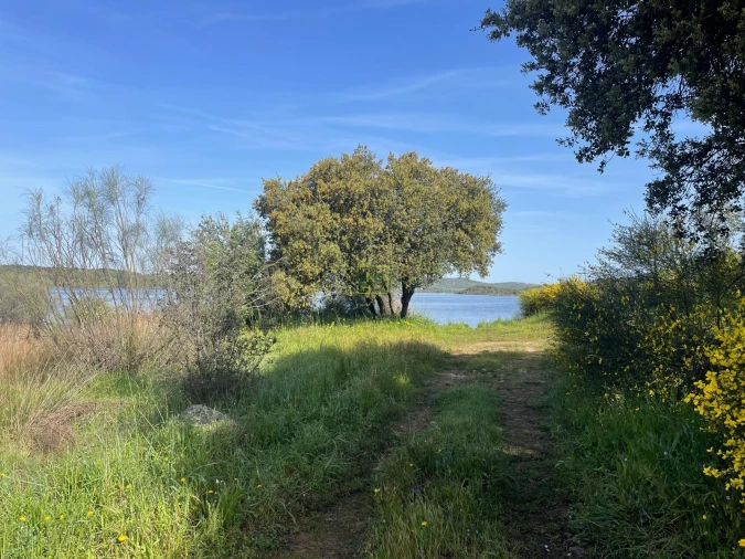 Terreno para Venda em Idanha-A-Nova e Alcafozes Foto 47