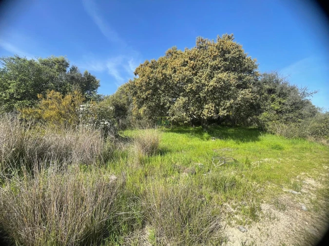 Terreno para Venda em Idanha-A-Nova e Alcafozes Foto 29