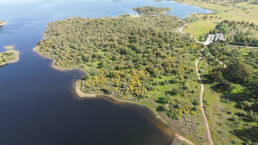 Terreno para Venda em Idanha-A-Nova e Alcafozes Foto 10