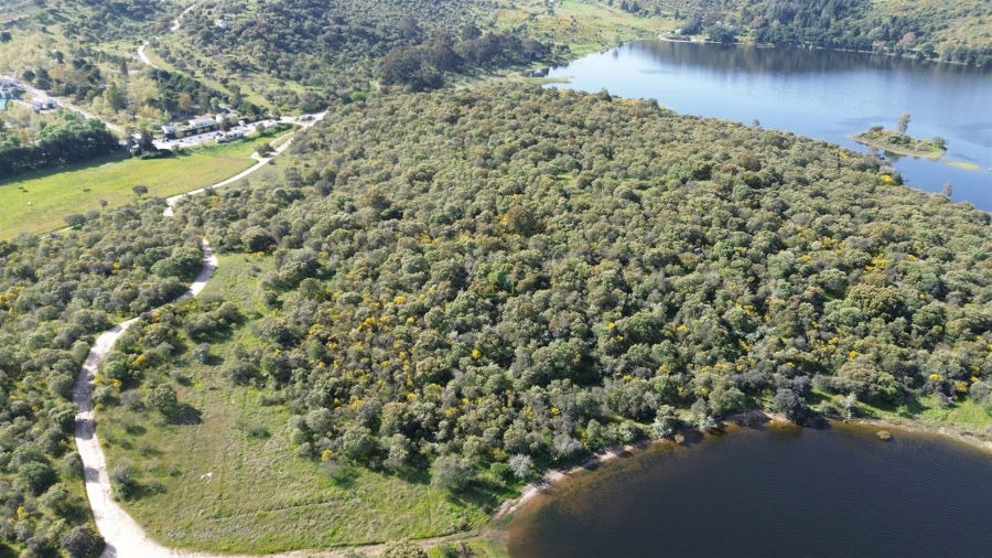 Terreno para Venda em Idanha-A-Nova e Alcafozes Foto 5