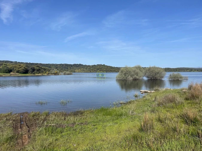 Terreno para Venda em Idanha-A-Nova e Alcafozes Foto 43